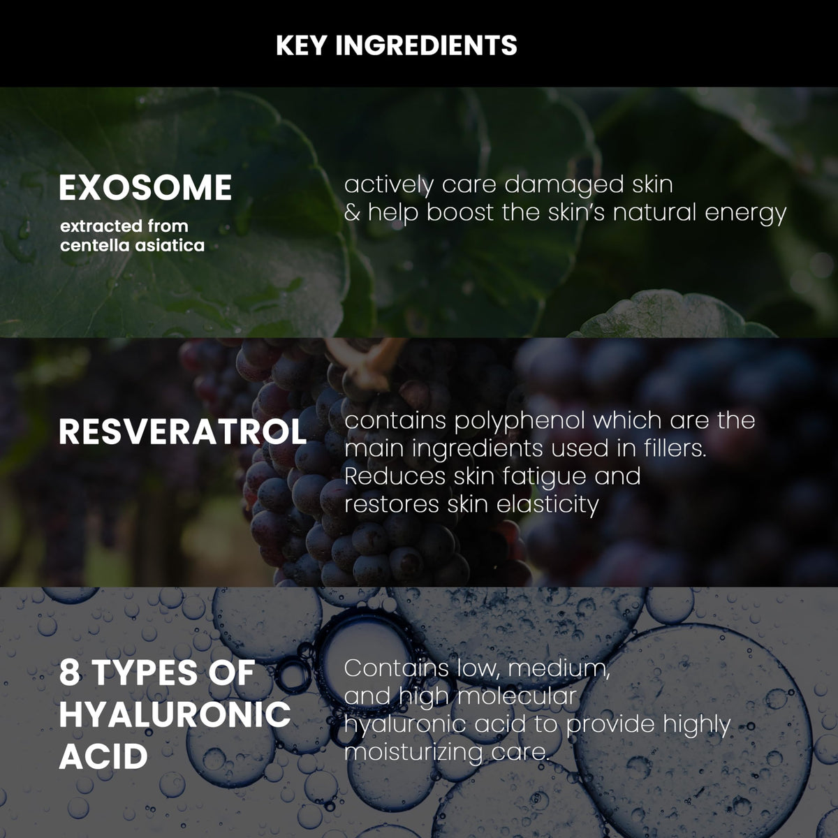 NEOGEN by DERMALOGY ingredients flatlay showing peptides hyaluronic acids and antioxidants