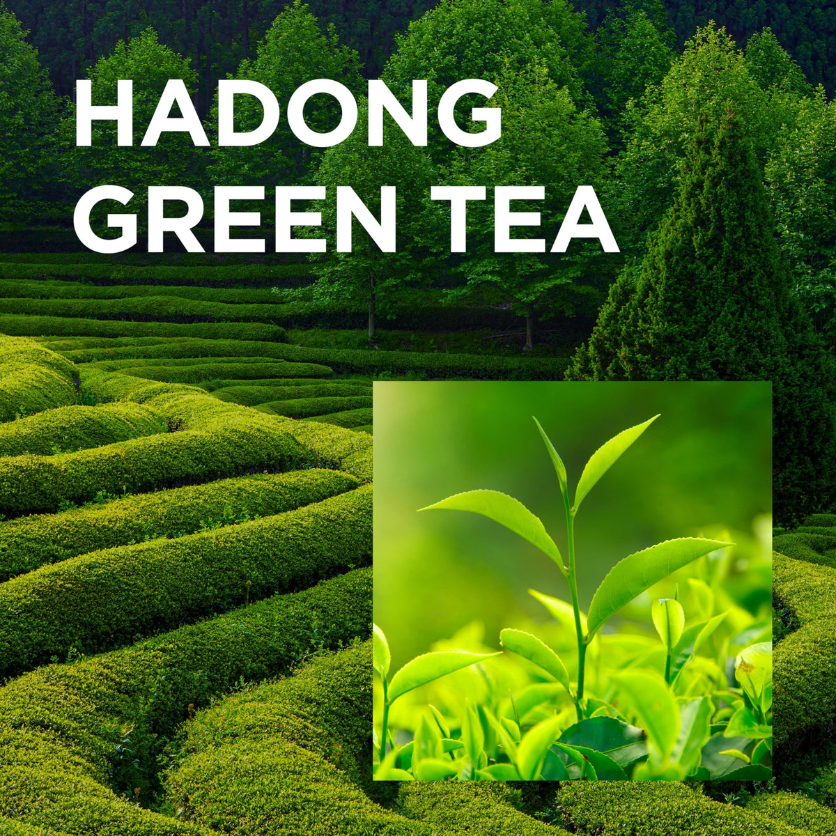 NEOGEN DERMALOGY in bathroom routine with towel, showing calming daily use
