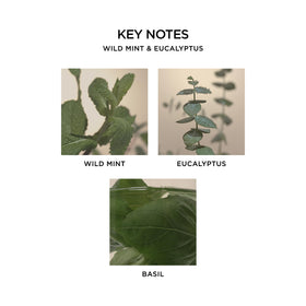 NEST New York label detail highlighting wild mint and eucalyptus fragrance information
