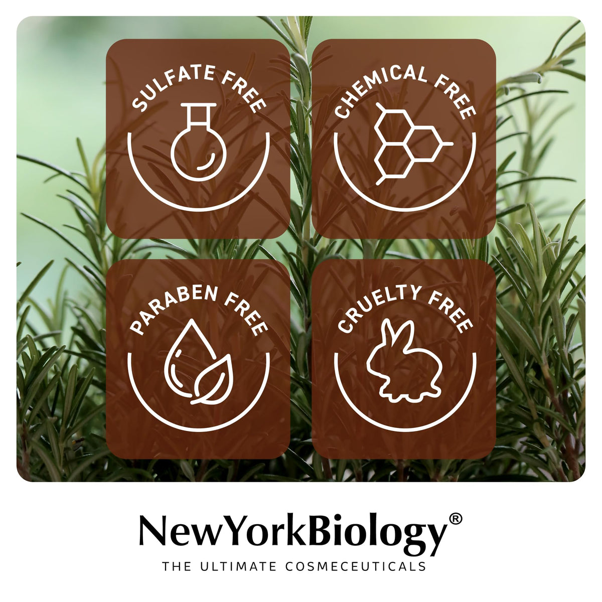 NEW YORK BIOLOGY conditioner texture on hand, demonstrates lightweight hydration and detangling benefit