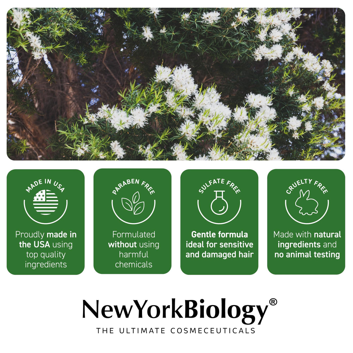 New York Biology before and after hair photo showing clearer scalp