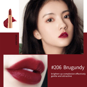 Newvenper lipstick texture close-up showing velvet matte finish and smooth coverage