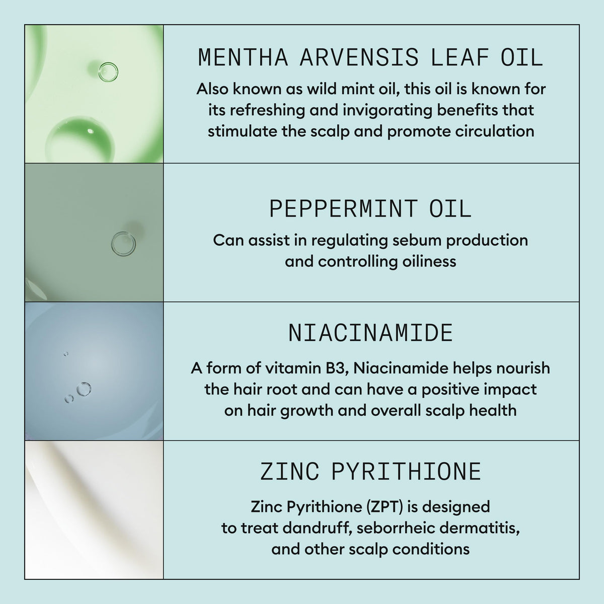 NIOXIN green tea extract close-up showcasing antioxidant support for scalp