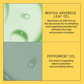 nioxin being applied to scalp demonstrating targeted application benefit