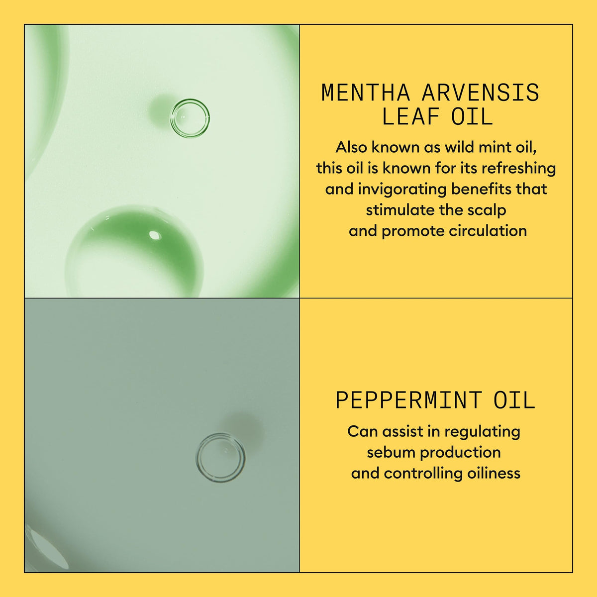 Nioxin ingredient spotlight with biotin and niacinamide to support hair resilience