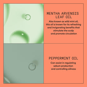Nioxin System 4 shampoo, conditioner and treatment together showing regimen compatibility benefit
