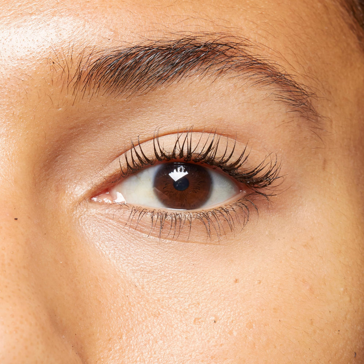 No7 applied on model lashes, visible fuller thicker lashes benefit