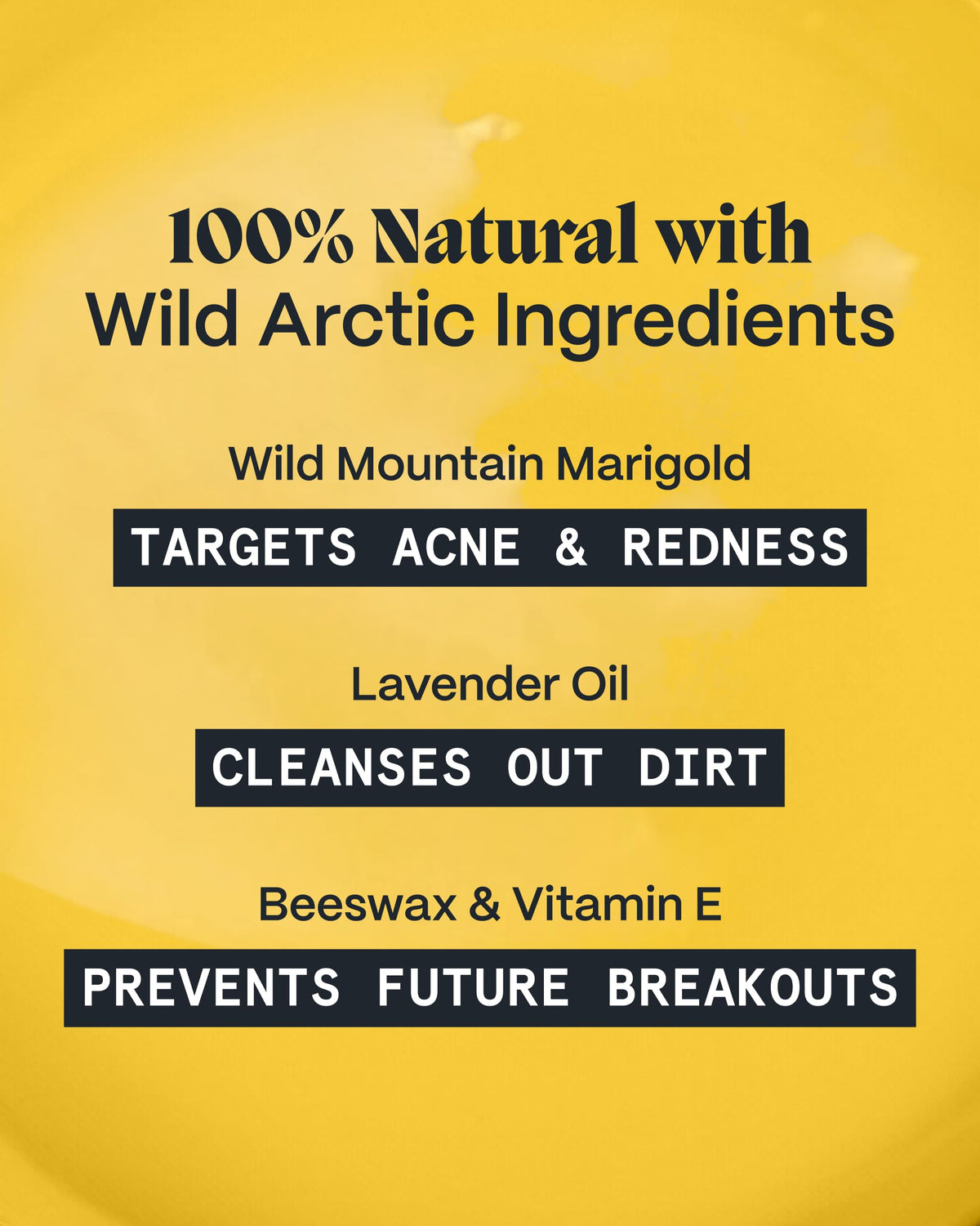 Norse Organics ingredient flatlay with Arctic Marigold Rosehip Sea Buckthorn benefits