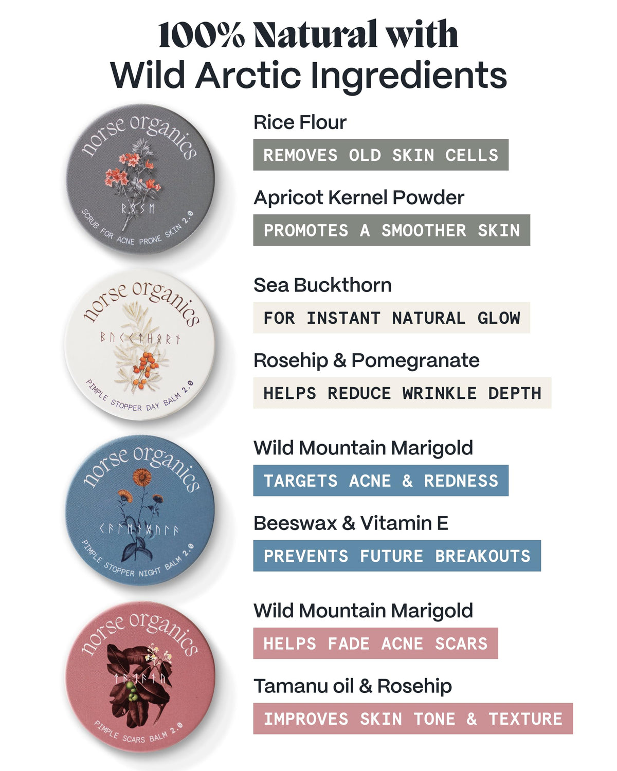 Norse Organics Powder Scrub texture in palm demonstrating gentle exfoliation