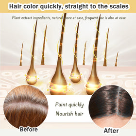 Nova Hair before and after hair strand showing visible gray coverage benefit