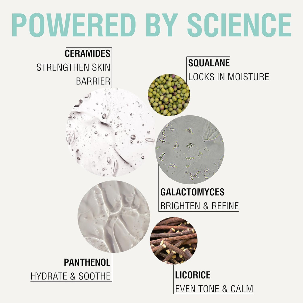NOVEHA label close-up listing ingredients and benefits for sensitive skin
