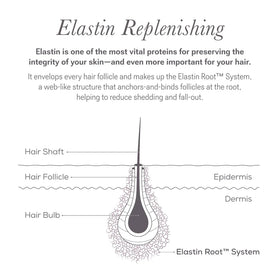 NULASTIN ingredients label close-up revealing elastin renewal protein and actives