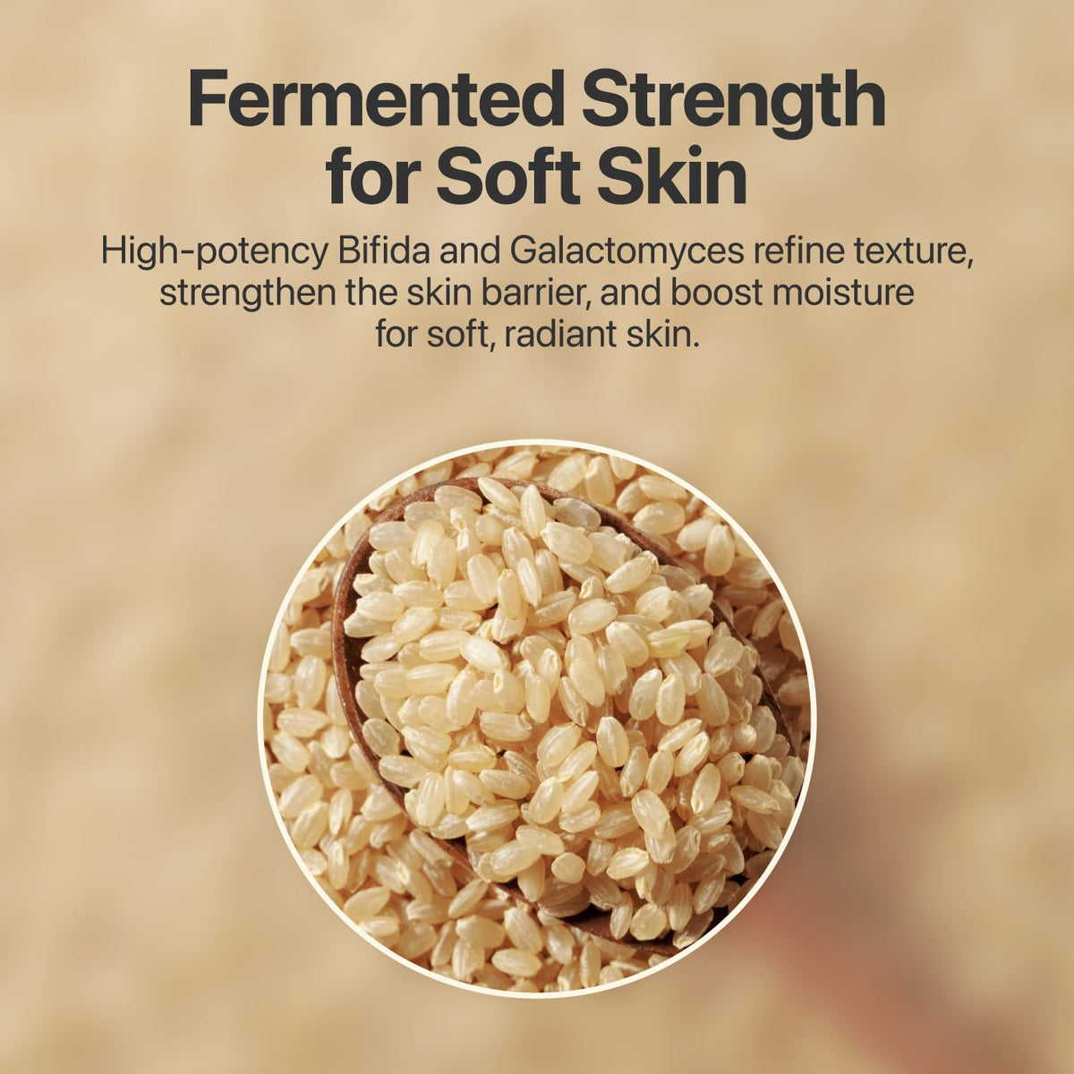 numbuzin ingredient list label highlighting fermented actives and supportive compounds