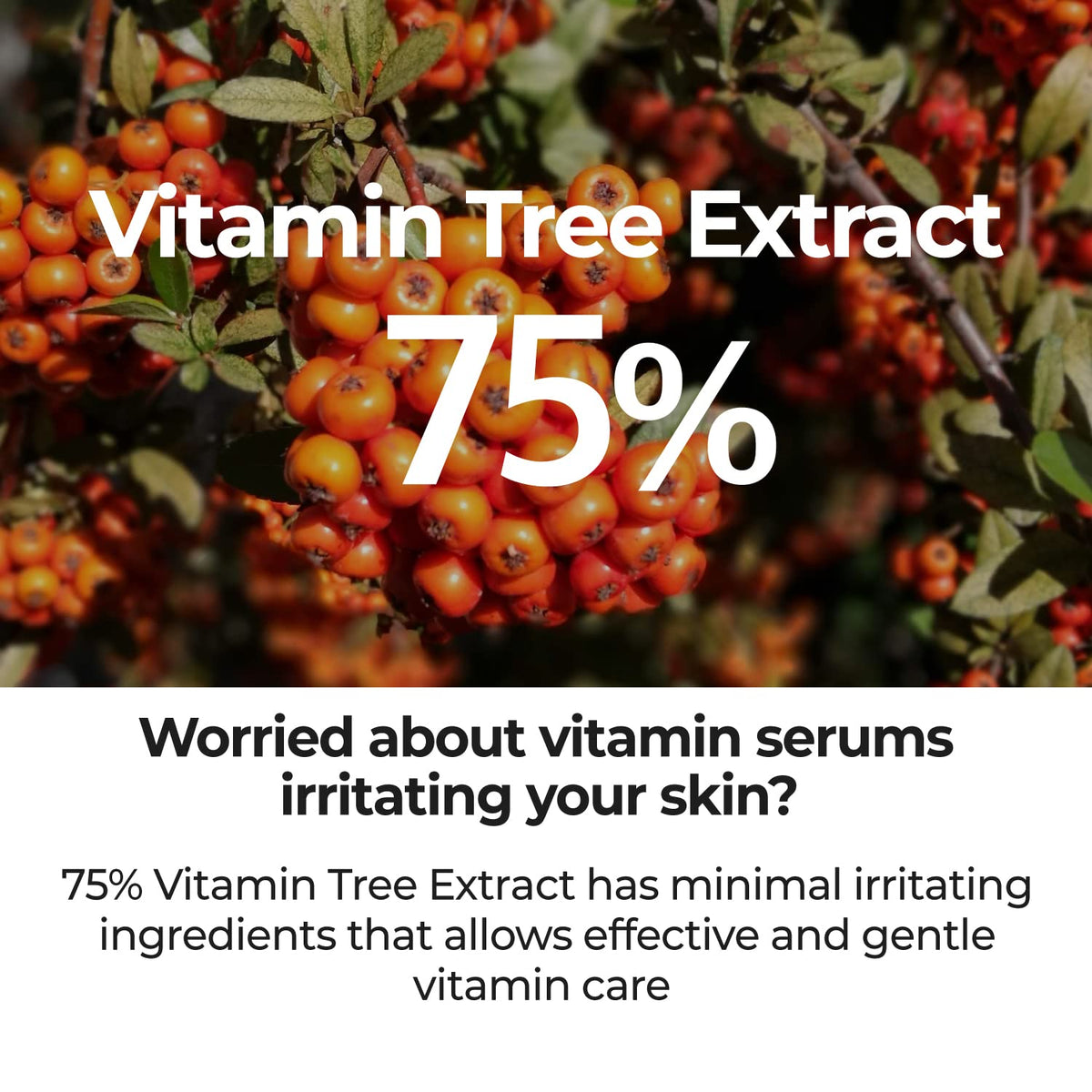 numbuzin No.5 ingredient label with Vitamin C and niacinamide benefits visible