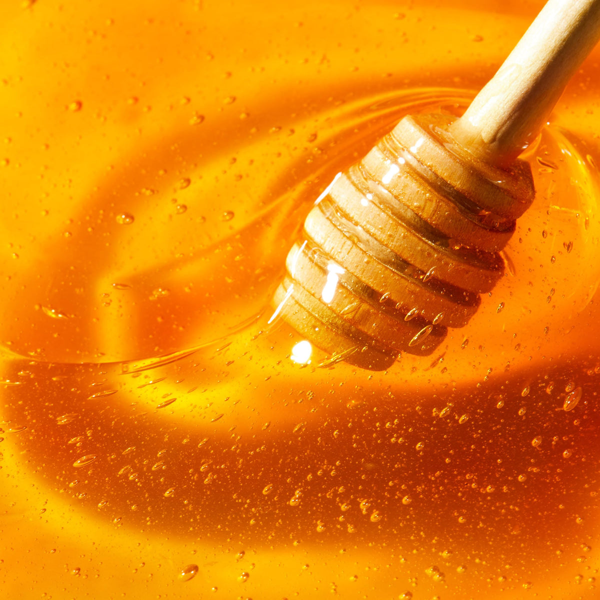 NUXE packaging back label close-up displaying ingredient highlights and French-made quality