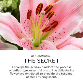 O BOTICARIO label close-up highlighting Lily fragrance notes