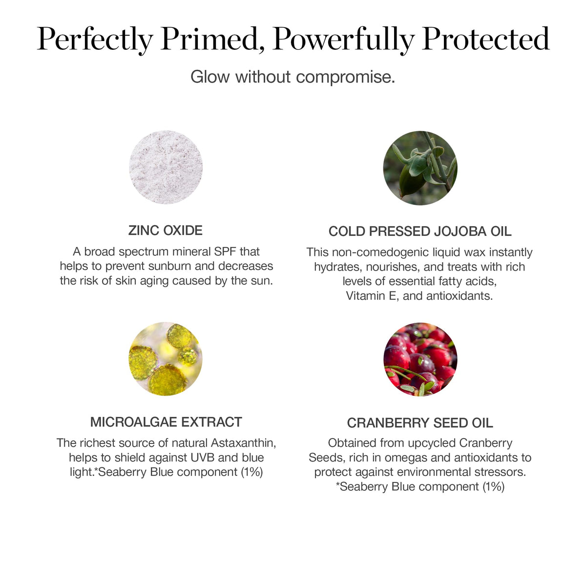 Ogee size and label shot highlighting ingredients and SPF