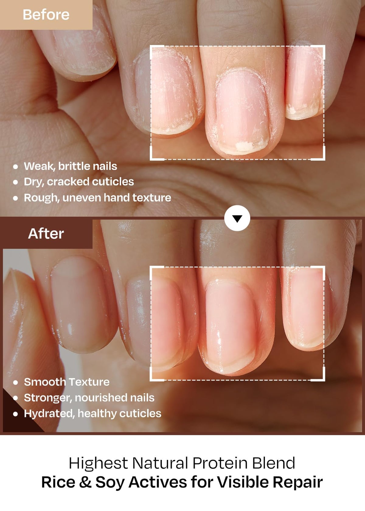 ohora applicator brush detail demonstrating precise, mess-free serum application
