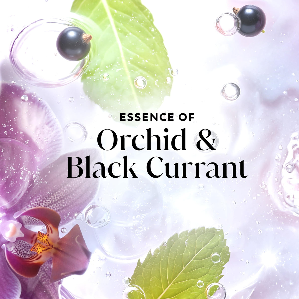 Olay essence visual with orchid and black currant notes for a fresh fragrance