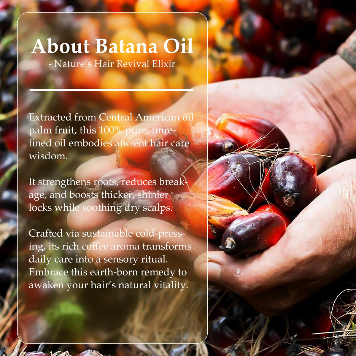 OLCG Batana oil paste ingredient label close-up confirming raw plant-derived purity