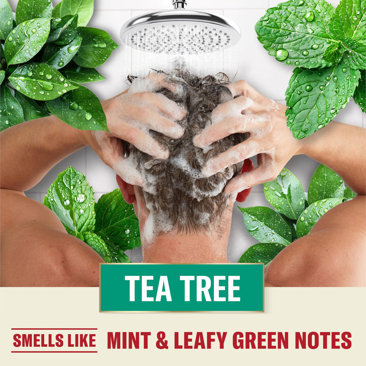 Old Spice tea tree and mint visual highlighting natural-scent ingredients