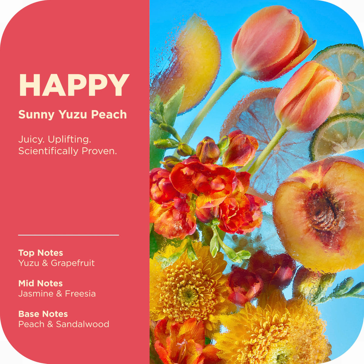 OLLY bottle with peach and yuzu props suggesting uplifting sunny fragrance