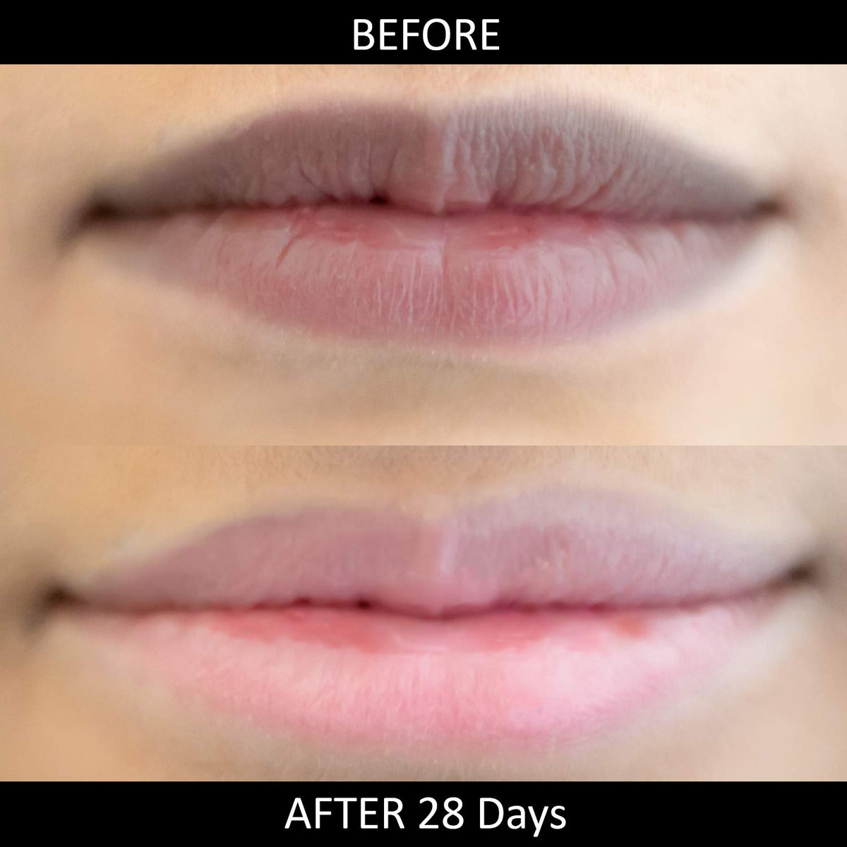 OMORFEE BE EXOTIC OF cocoa butter ingredient shot highlighting deep hydration benefits