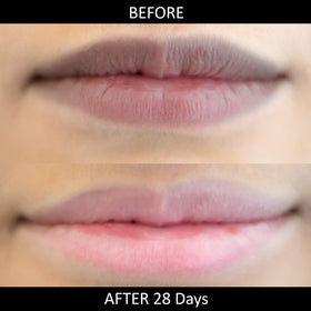 OMORFEE BE EXOTIC OF cocoa butter ingredient shot highlighting deep hydration benefits