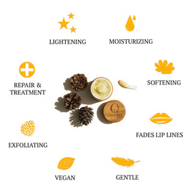 OMORFEE ingredients flatlay with oils and butters highlighting natural nourishment