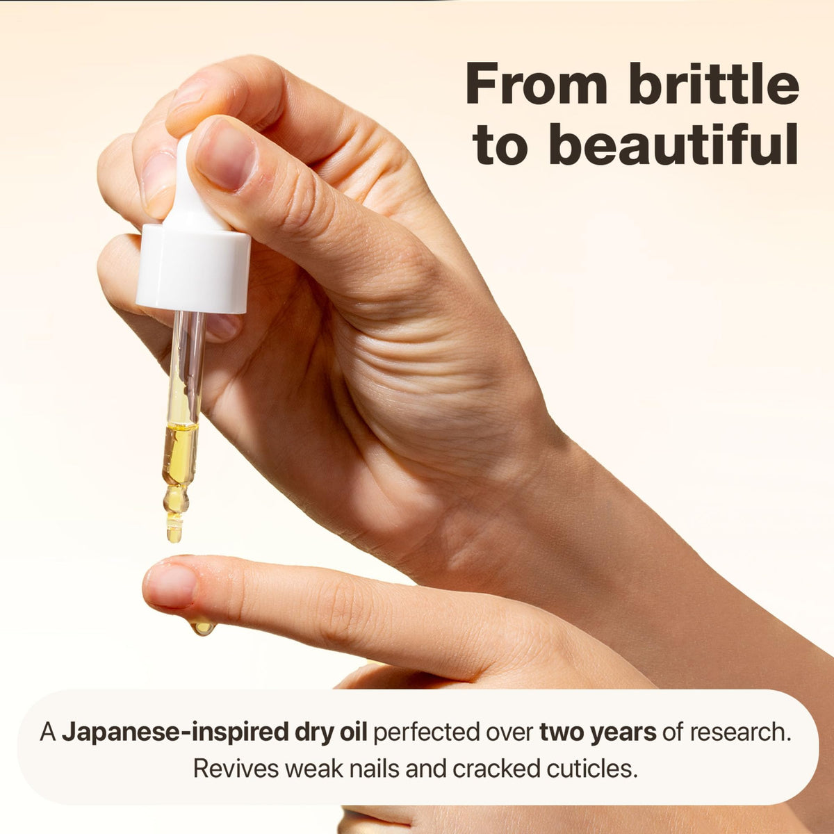 Onsen Secret ingredients display of tsubaki, jojoba and tea tree benefits