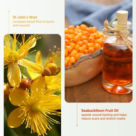 Organic Meadow Herbals arranged organic botanicals used to soothe skin