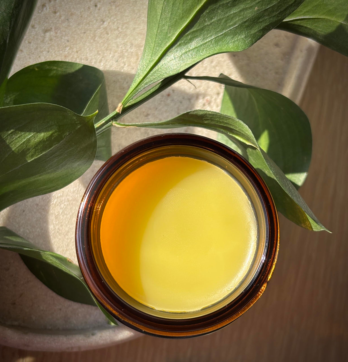 Organic Meadow Herbals close-up texture of salve illustrating moisturizing benefit