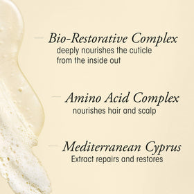 Oribe Gold Lust ingredient oils close-up showing argan and maracuja for shine and repair