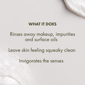 Origins spearmint leaf ingredient detail, emphasizes refreshing scent