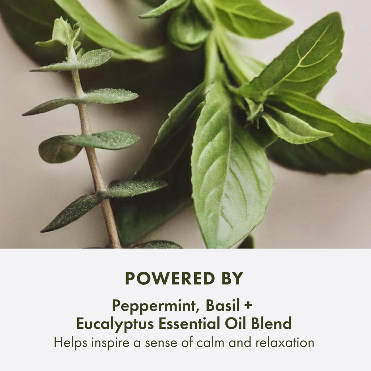 Origins exfoliating scrub texture close-up showing gentle bamboo and walnut particles for smoother skin
