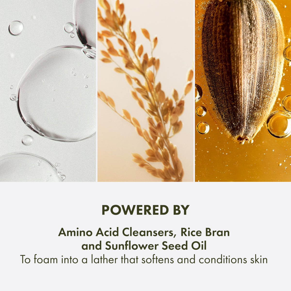 Origins label detail highlighting key ingredients and formulation benefits