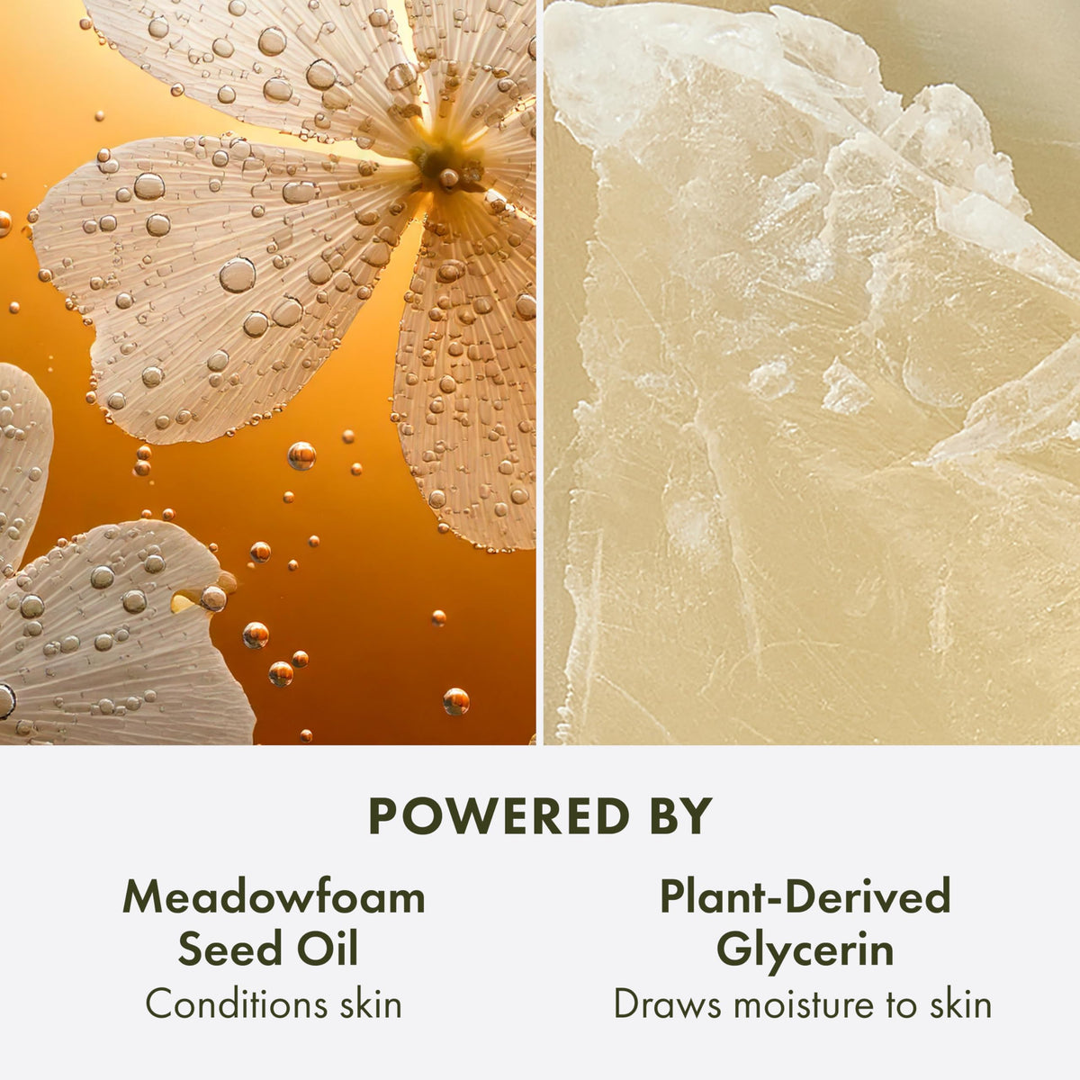 Origins product label and ingredient list clear shot showing plant-derived, vegan formulation benefit