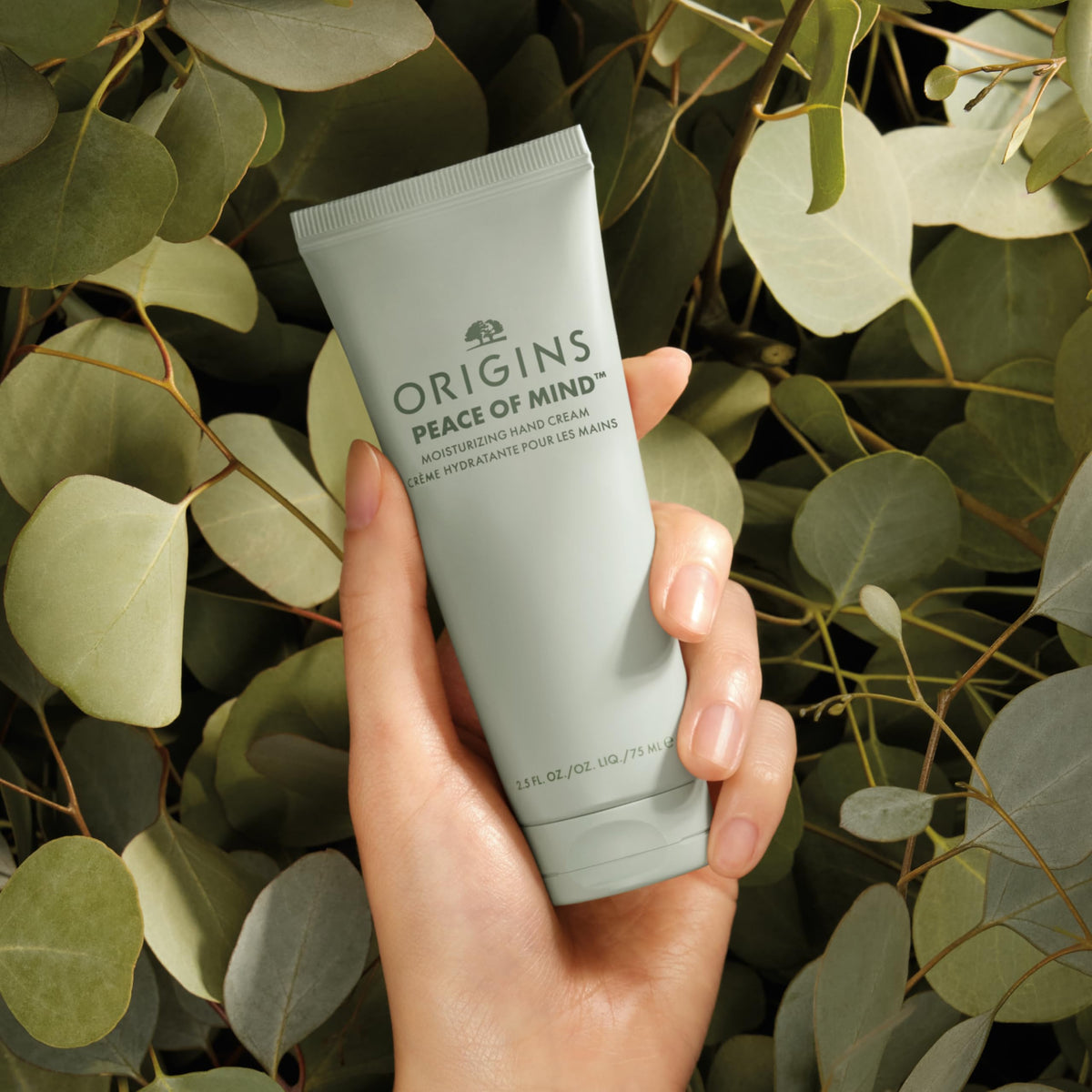 Origins Meadowfoam seed oil ingredient visual highlighting conditioning and moisture-locking benefit