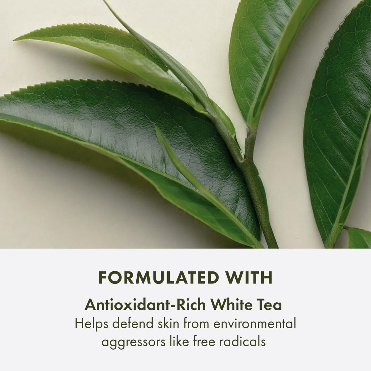 Origins bottle label detail showing SPF and vegan formulation