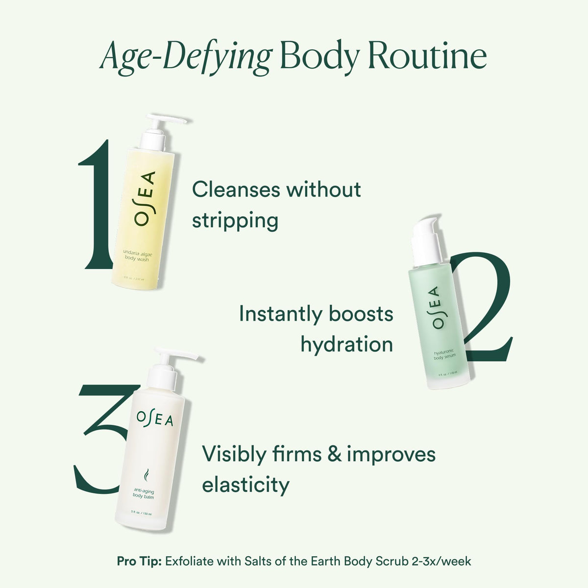 OSEA Alaria seaweed ingredient visual conveying marine-sourced firming benefit