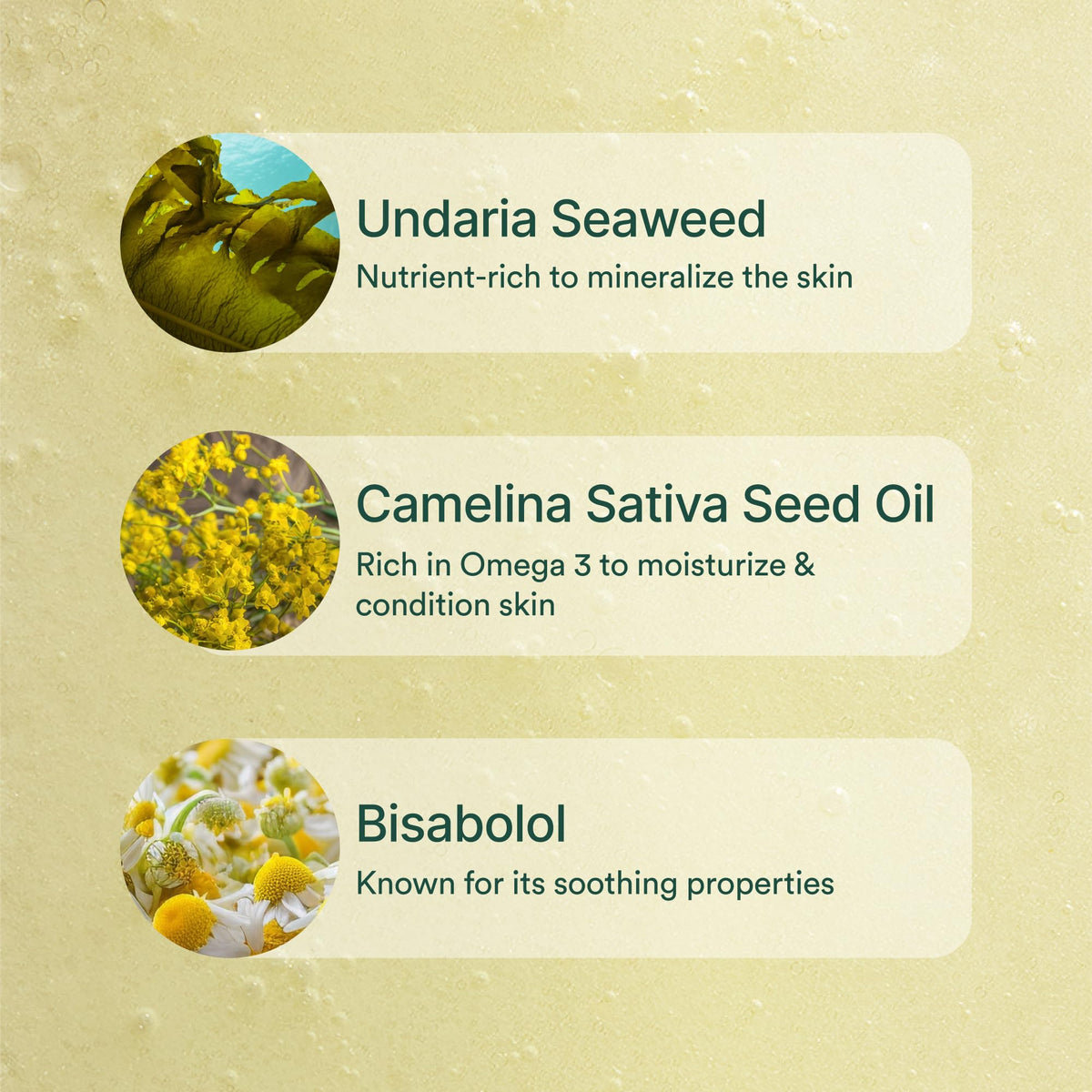 OSEA Undaria seaweed ingredient displayed for marine-powered hydration benefits