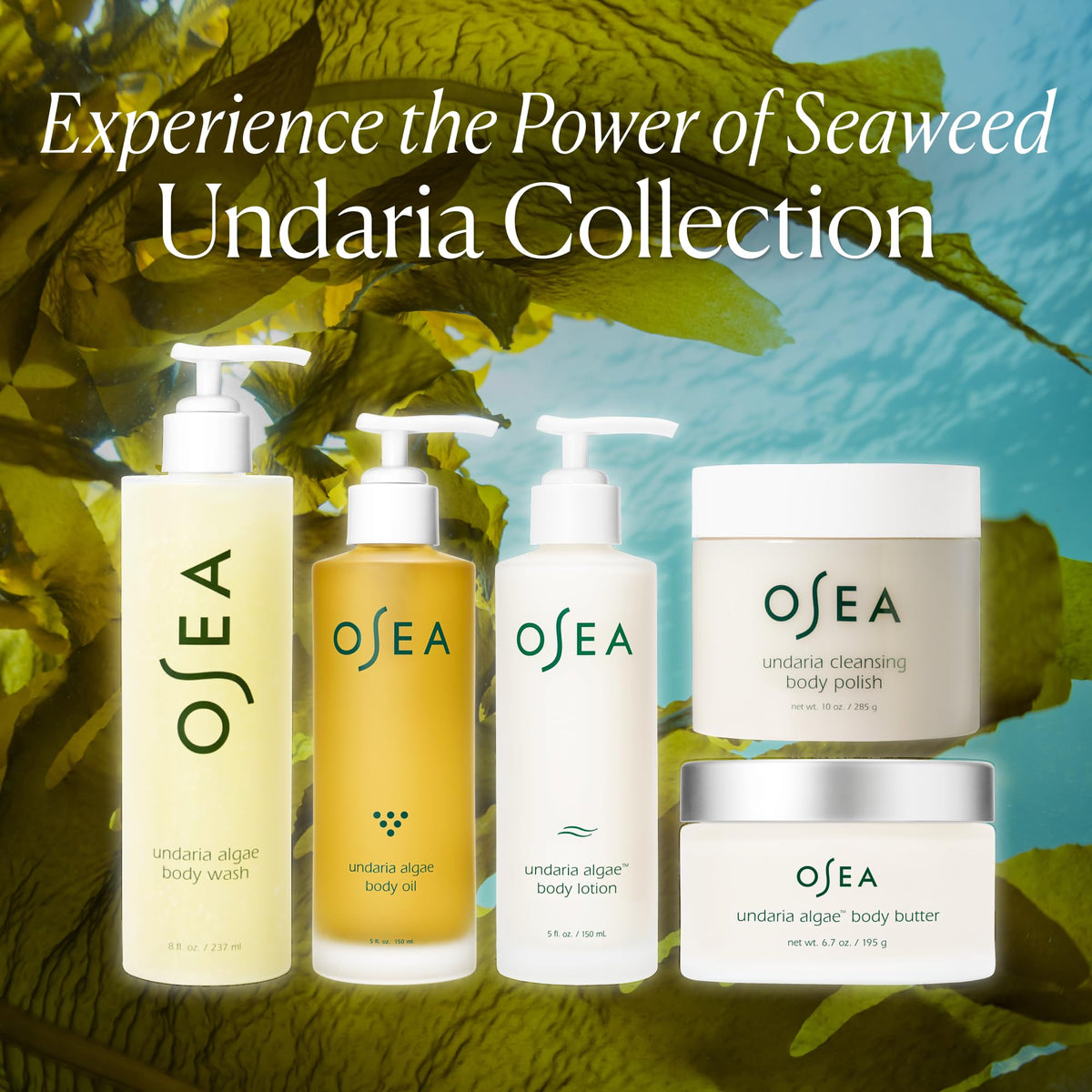 OSEA citrus scent notes with grapefruit and lime suggesting uplifting aroma