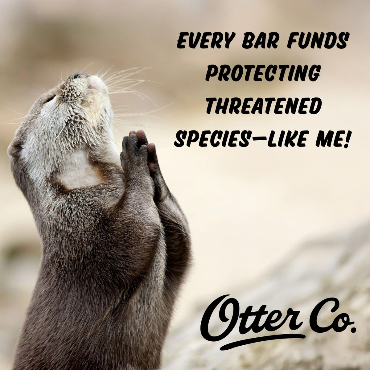 Otter Co compostable packaging displayed showing reduced plastic waste