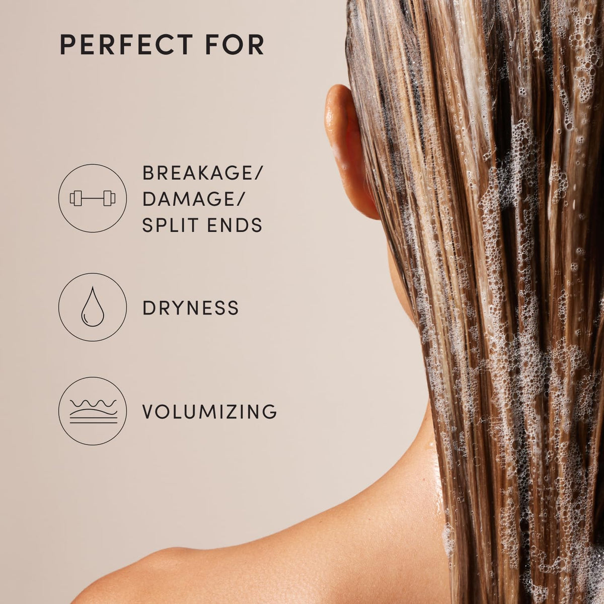 OUAI chia seed oil ingredient display highlighting lightweight nourishment