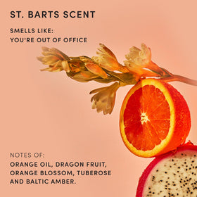 OUAI product label and ingredient list close-up, communicates clean formulation