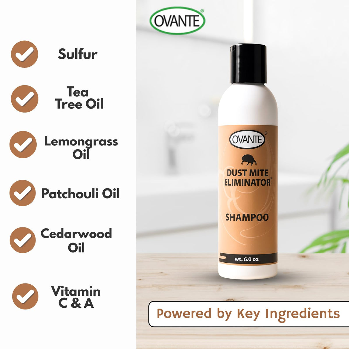 OVANTE creamy lather texture illustrating gentle cleansing and refreshment