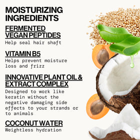 Pacifica bottle label close-up highlighting peptide ingredients and clean formulation