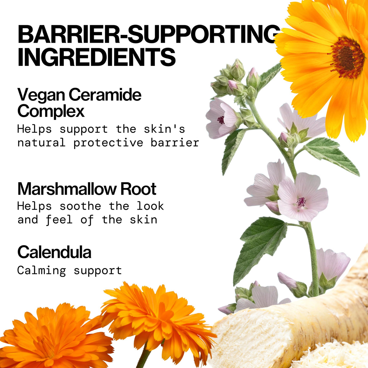Pacifica label close-up highlighting ingredients and barrier support benefit