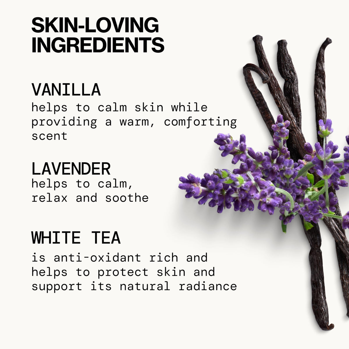 Pacifica ingredients display with aloe and hyaluronic acid indicating moisture support