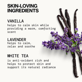 Pacifica ingredients display with aloe and hyaluronic acid indicating moisture support